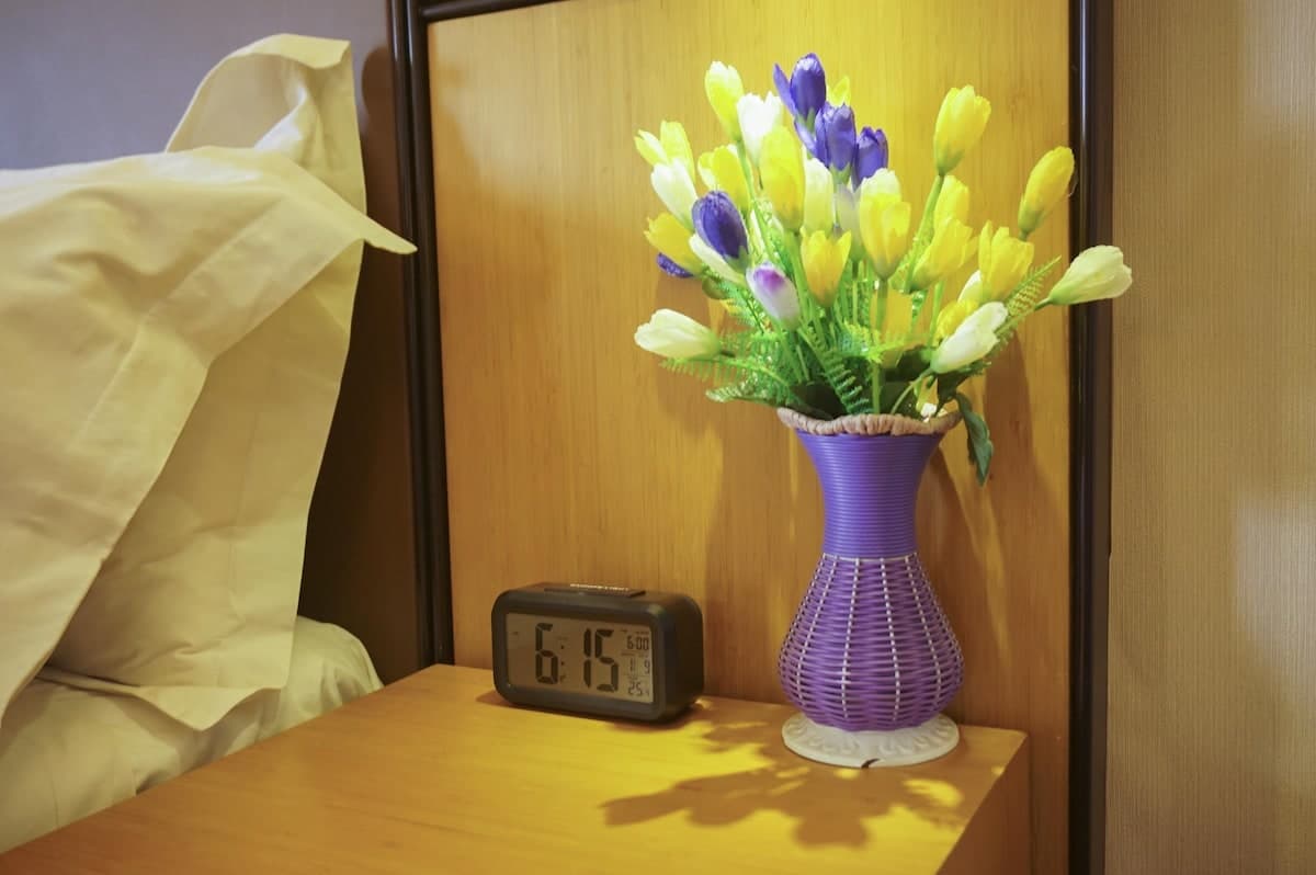 Deluxe Twin room with two beds